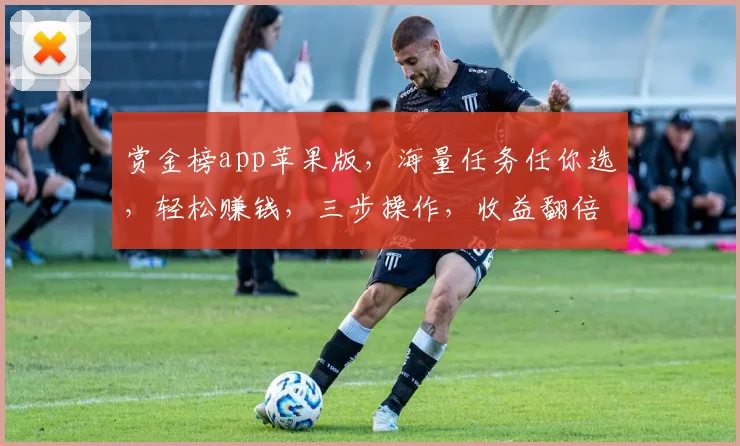 赏金榜app苹果版，海量任务任你选，轻松赚钱，三步操作，收益翻倍，快来体验